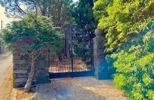 Gala Da Vittoria - Foto 19