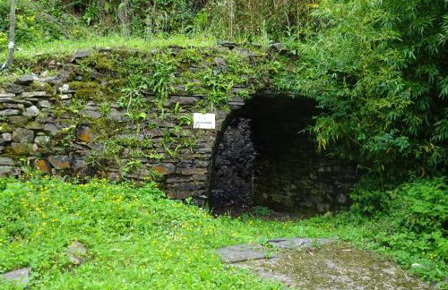 Apartamentos El Llago - Photo 23