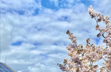 Oakley Vale House and Garden! Free Private Parking, TV, Fully Equipped - Photo 6