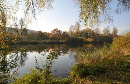 Ferienwohnungen TonArt - modern & stilvoll im Weinort Sommerach - Foto 30