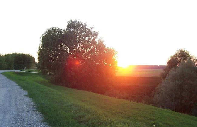 Agriturismo La Rovere - Foto 40