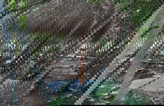 Tu Casa Condos - Photo 21