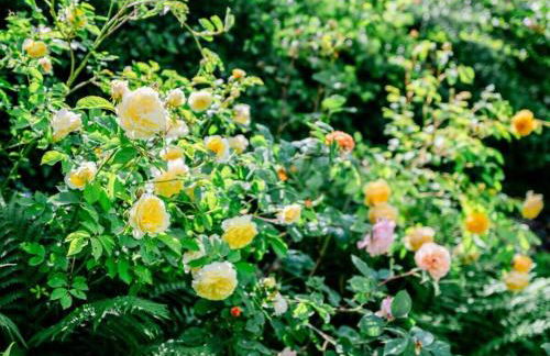 Holiday home with 1 bedroom - Foto 9