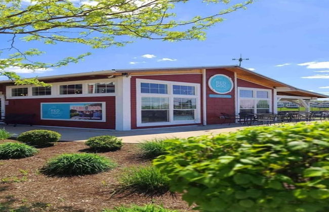 Blue Dog Landing - Foto 63