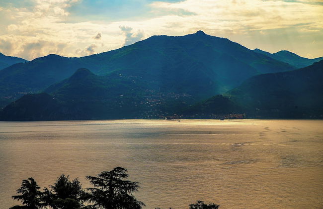 Monsignor Houses - Photo 46