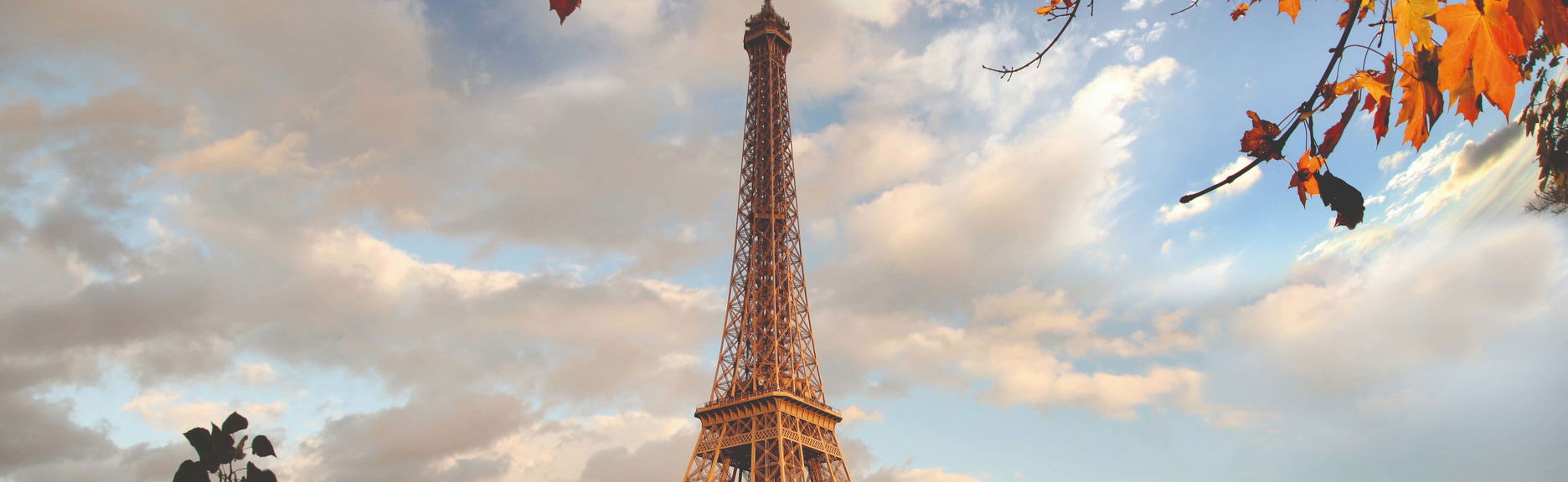 Paris City Tour, Seine Cruise & Eiffel Tower