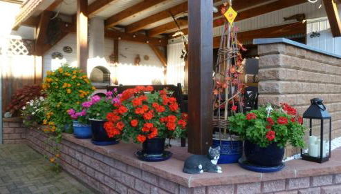 Ferienwohnung Frenzel - Photo 2, Garden