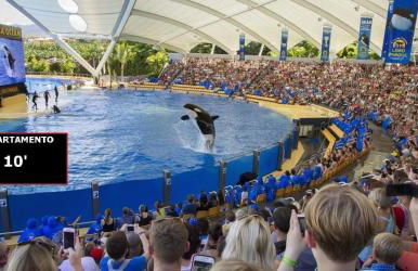 Sunset Lover Playa Jardin - Foto 63