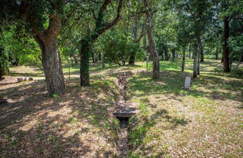 Villa Hokiss Piscine privée dans parc 1 hectare - Foto 23