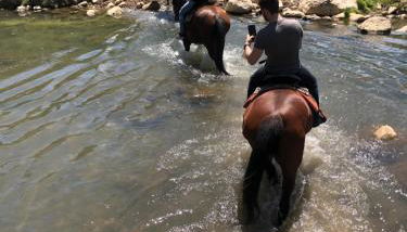 A Casa Nostra - Foto 5