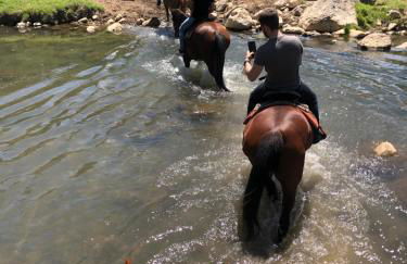 A Casa Nostra - Foto 5