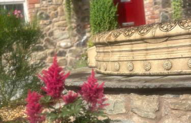 Oak field Cottages Belfast open plan studio stunning & tranquil - Foto 22