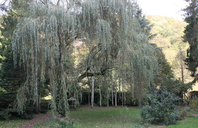 Home in Comblain-au-pont - Foto 18