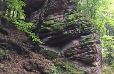 Ferienwohnung Burkhart - Foto 48