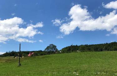 Malinowy Domek - Photo 69