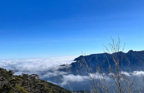 Appartement vue mer Confort au coeur de la nature - Foto 28