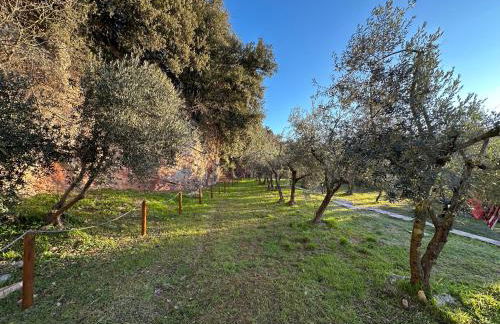 Spello Sant'Onofrio - Foto 10