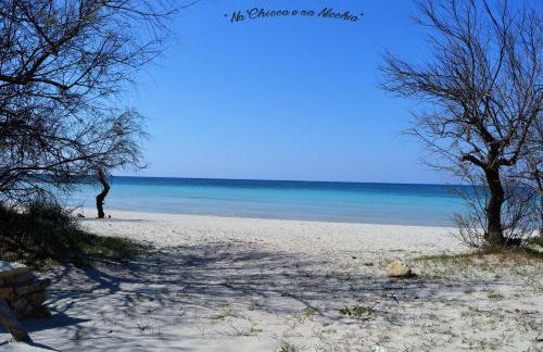 Na Chicca e na Nicchia - Foto 60