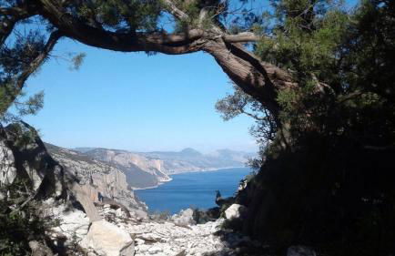 Fenile Apartments - Foto 60