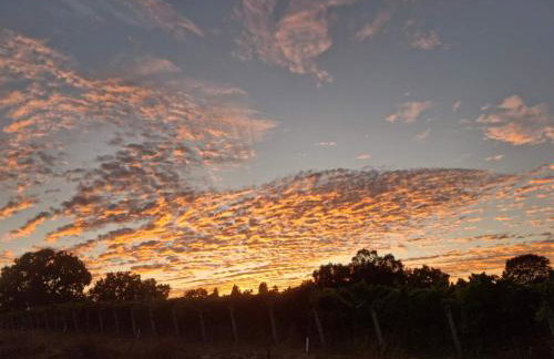 Green Valley, Sonoma County Vacation Rental at a Working Winery - Foto 41