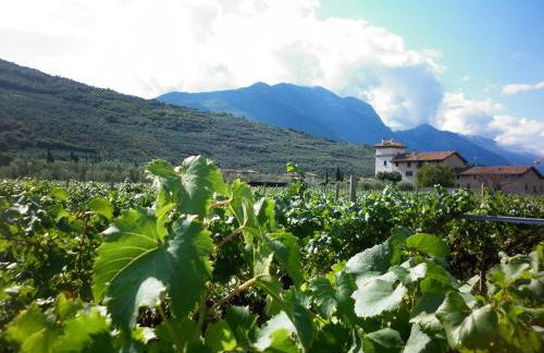 Residence La Colombera - Foto 70