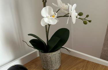 Mansarda Luxury - Foto 23