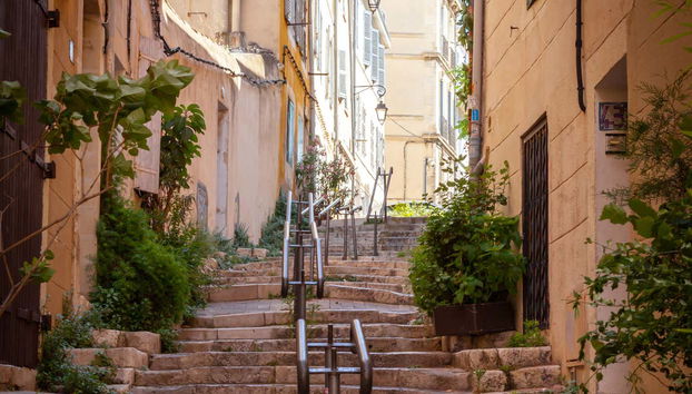 A staircase full of plants in Le Panier