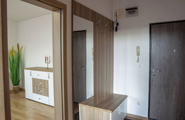 Apartment La Ciobanu - Foto 13