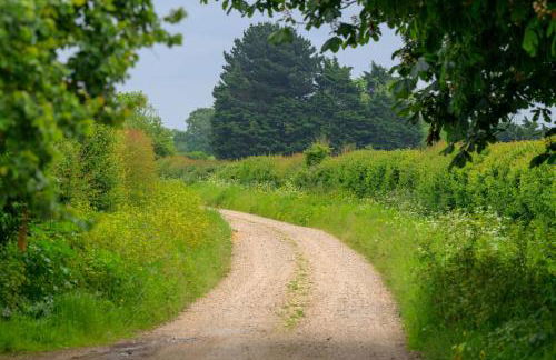 Moo Cottage - Foto 43