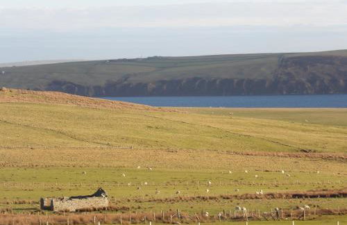 Owlswood Lodge - Photo 77