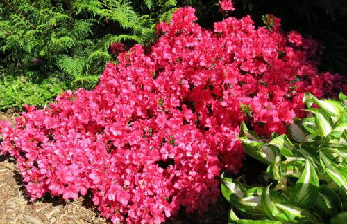 Privathaus Wehle - Photo 18