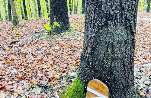 Cedarwood Farmstead - Foto 58