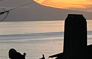 Vistalinda Farmhouse - Foto 35