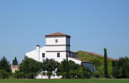 Agriturismo Corte Spino - Foto 38