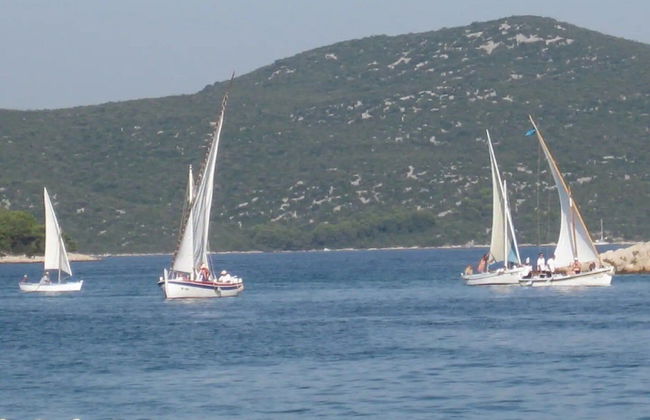 Apartments Paula - One Bedroom Apartment With Terrace 3 - Photo 23