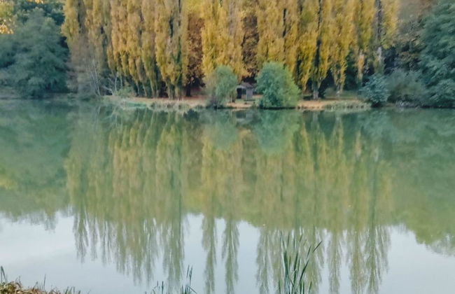 Le Domaine du Lambon - Foto 25