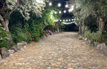 Casa dos Avós - Foto 23