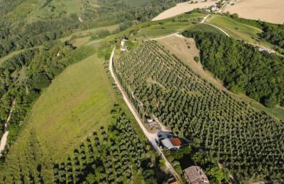 Agriturismo Serena -Petritoli- - Foto 7