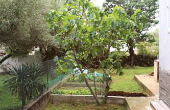 Turković Apartments - Foto 36