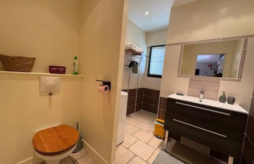 Le cocon en Sologne, Châteaux, Zoo de Beauval, Piscine, WIFI, 2 chambres, 3 lits, 2 sdb - Foto 12