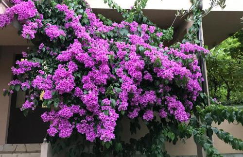 APARTMENTS HOUSE BARBARA 2 - Foto 26