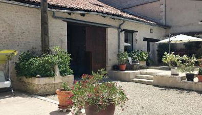 Petit Menot - Foto 3