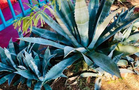 Cozy desert retreat with amazing views only 4 miles to JTNP - Foto 50