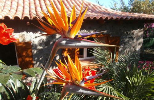 Finca las Palmeras - Foto 7