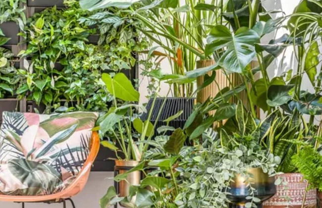 Immaculate 6-bed Ivy House - Photo 31