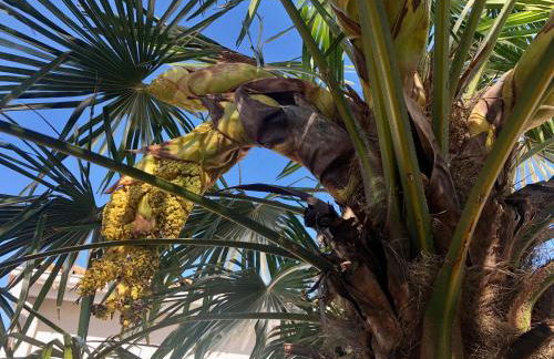 LE RENDEZ VOUS DES VACANCES - Foto 13