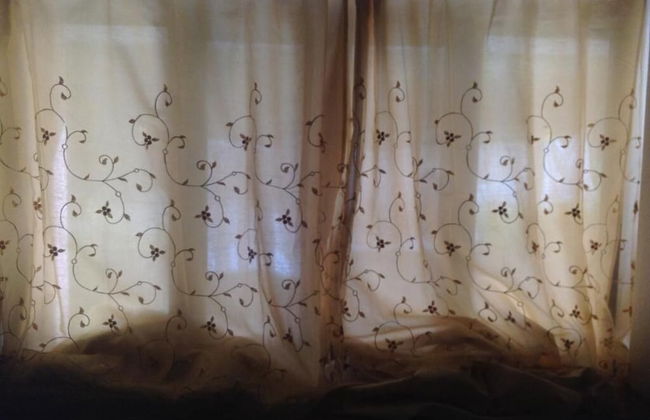 Agriturismo Sogno Latino - Photo 14