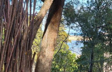 CasAlegria La Franqui - Foto 24