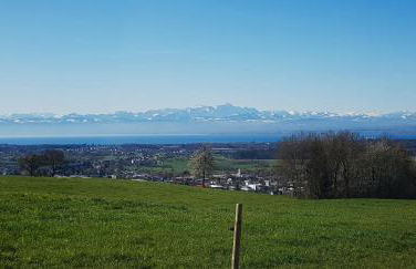 Ferienhaus mit Alpenpanorama - Photo 13