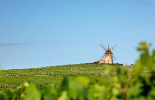Moulin à Vent Studio Cosy - Foto 14